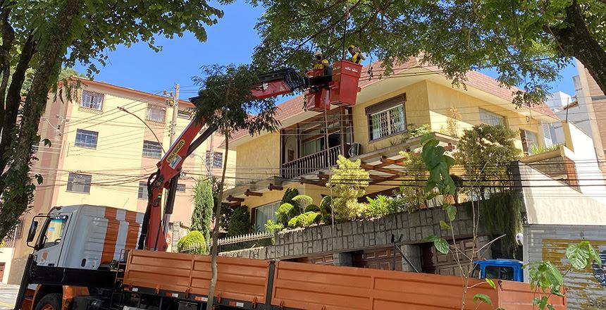 Empav executa mais de mil laudos de podas de árvores nos primeiros meses de 2022