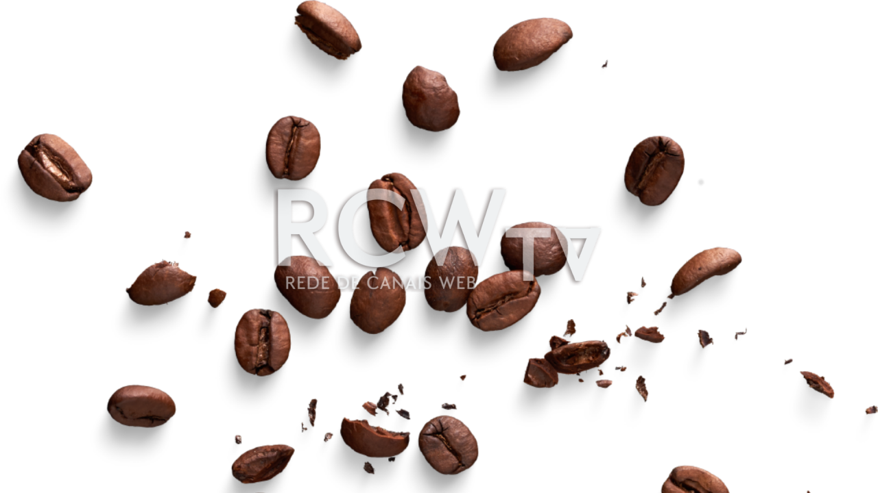Estudos da EPAMIG selecionam cultivares de café arábica eficientes em ambientes com restrições de nitrogênio e de potássio