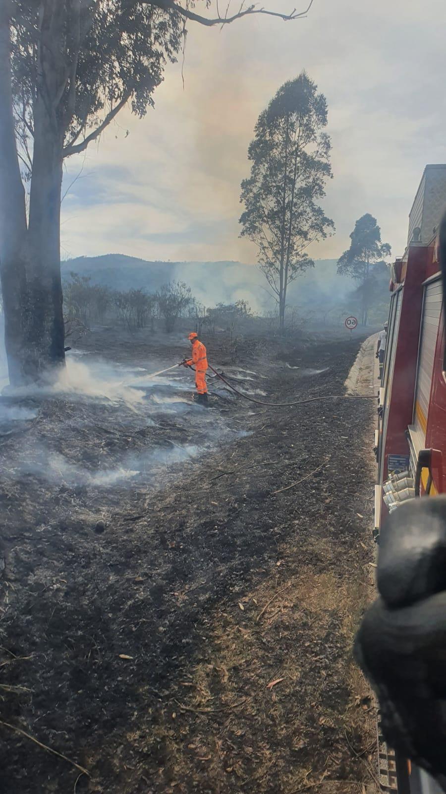 Vegetação na mata pertencente à empresa Fiven pegou fogo, às margens da BR-265