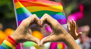 5ª MARCHA DO ORGULHO TRANS DO ESTADO DE SÃO PAULO