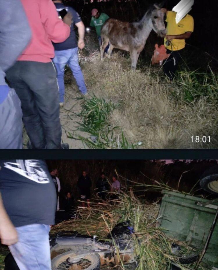Acidente entre motocicleta e carroça na MG 126