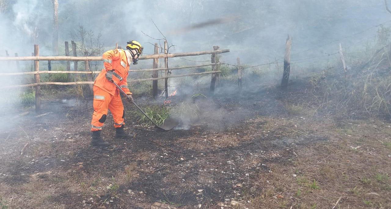 Bombeiros de São João del-Rei combatem incêndio em vegetação no Tejuco