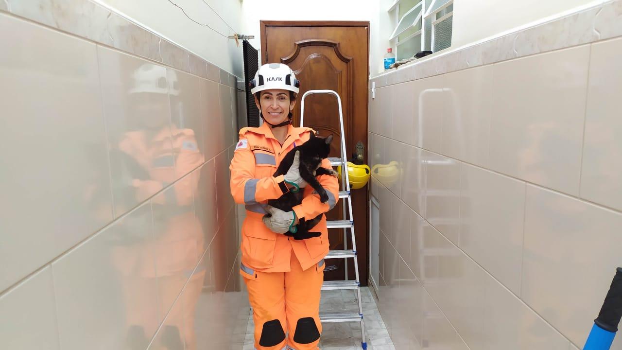 Bombeiros resgatam animal em perigo no Centro de Barbacena
