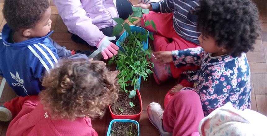 Creche Professora Denise dos Santos desenvolve projeto sobre alimentação saudável