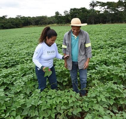 Emater-MG atende mais de 108 mil agricultores familiares nos primeiros quatro meses do ano