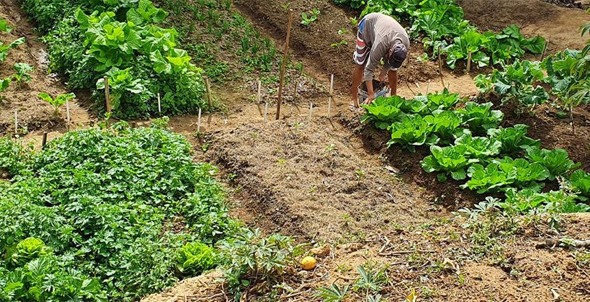 PJF produz diagnóstico socioprodutivo de Agricultura, Pecuária, Agroindústria e comércio de gêneros alimentícios na Vila Almeida