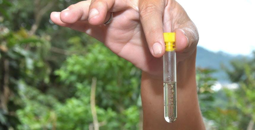 PJF realiza ação de combate à Dengue e outras doenças no bairros Dom Bosco, São Mateus e Centro