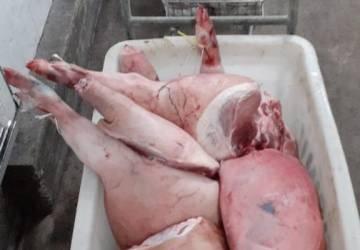 Policia civil apreende quase 400 quilos de alimentos impróprios para consumo