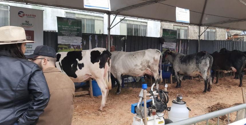 Torneio Leiteiro de Humaitá começa na próxima quinta-feira, 9