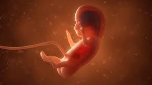 Aborto é crime, Sr. Ministro?