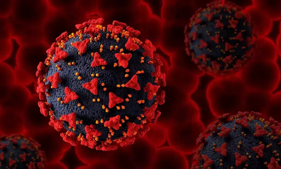 Boletim epidemiológico e vacinal Covid-19 - 27/07
