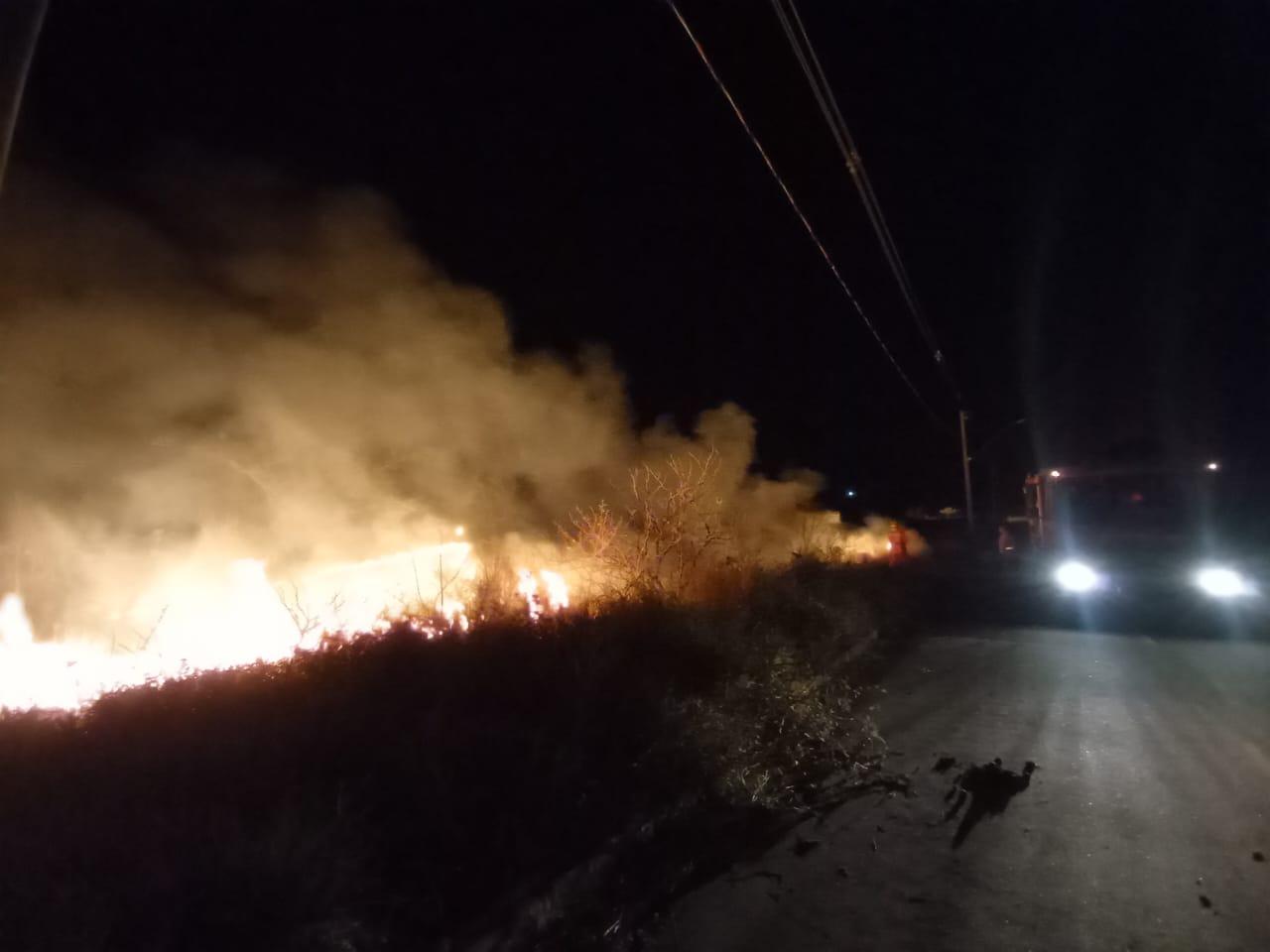 Bombeiros combatem incêndio em vegetação no Novo Horizonte