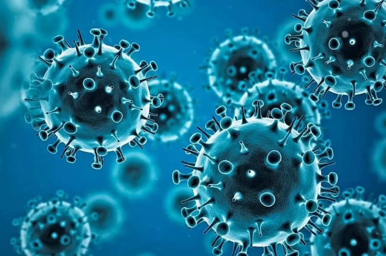 Confira os dados epidemiológicos e de vacinação de segunda-feira, 11 de julho em JF