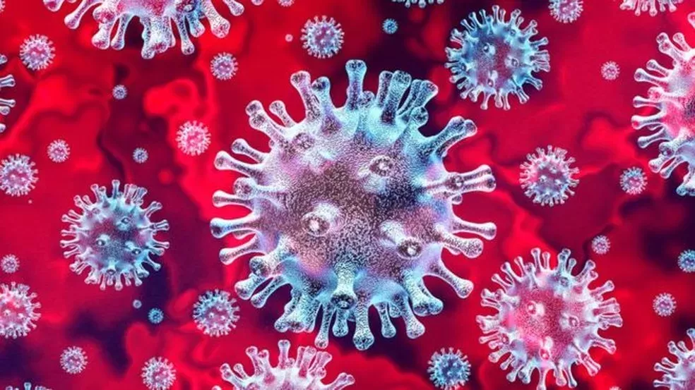Dados epidemiológicos e de vacinação de sexta-feira, 22 de julho em JF