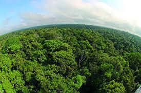 Regularização Ambiental em áreas rurais é uma medida urgente e necessária