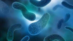 Soluções antimicrobianas estão presentes em brinquedos de papelão para crianças