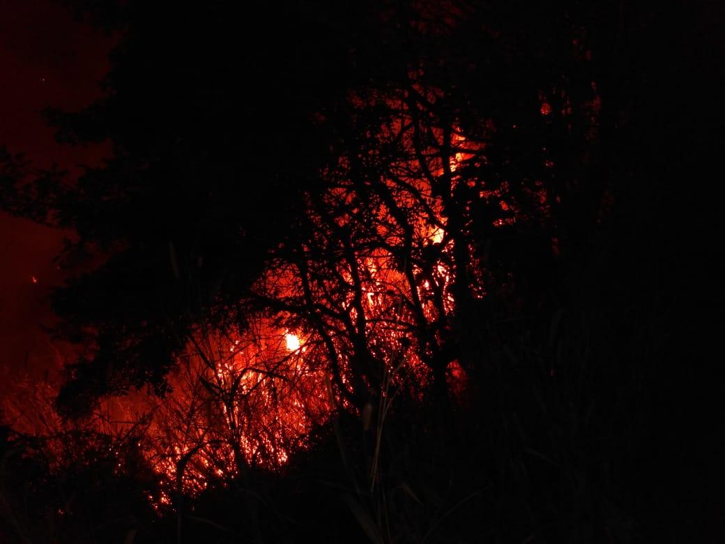 Bombeiros combatem incêndio em área urbana não protegida em Doutor Sá Fortes