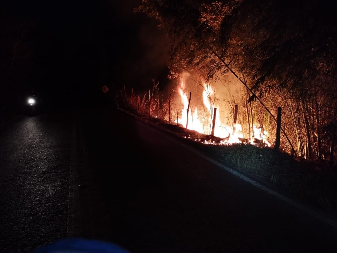 Bombeiros combatem incêndio em vegetação as margens da MG 482