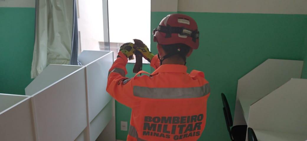 Bombeiro Militar resgata animal em perigo no centro da cidade de Barbacena