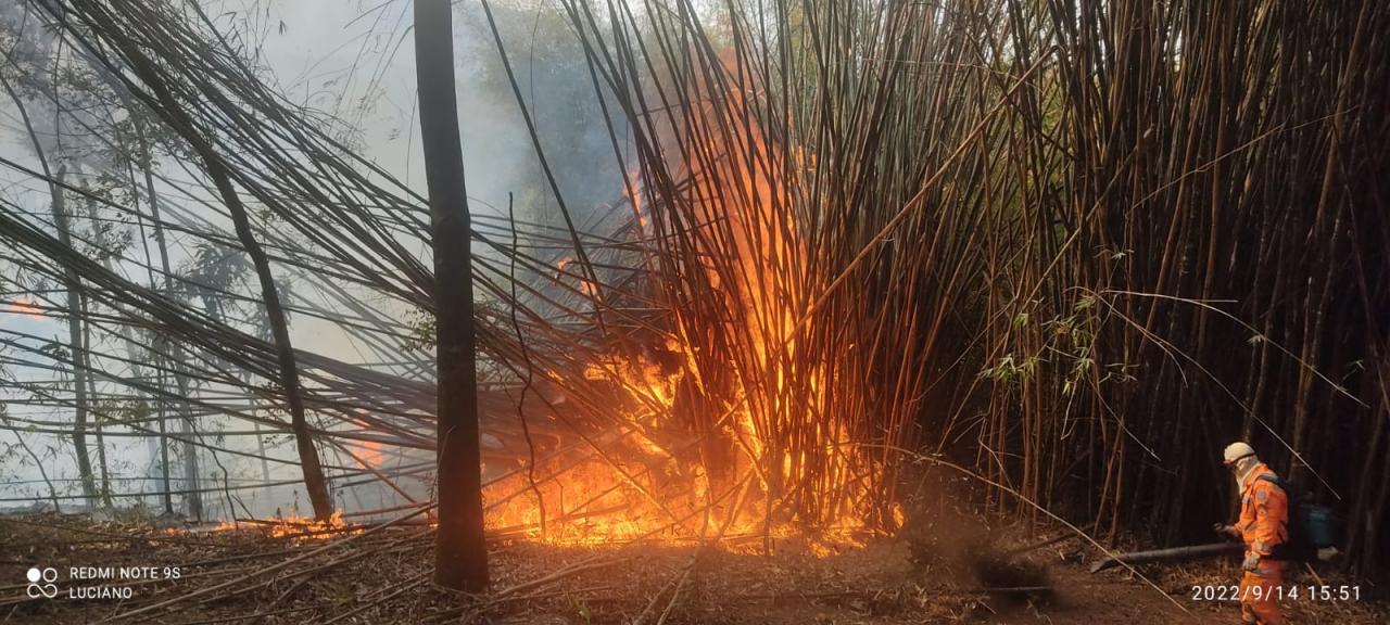 Bombeiros combatem dois incêndios em vegetação em Tiradentes