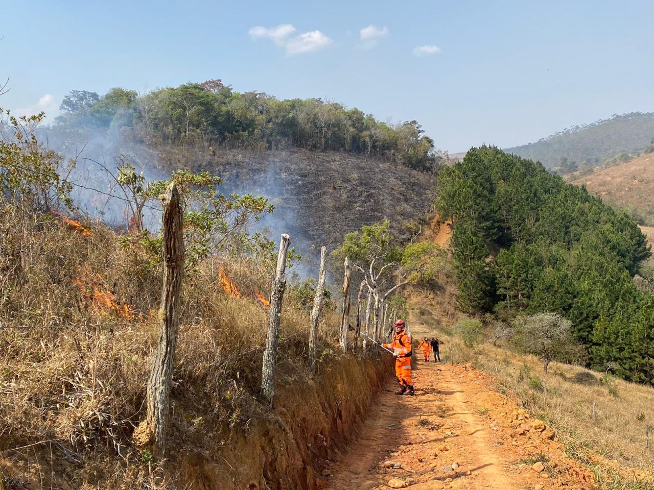 Bombeiros combatem incêndio em vegetação em Sá Fortes