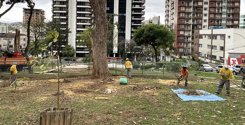 Prefeitura segue com as podas e cortes de árvores na praça Melquita