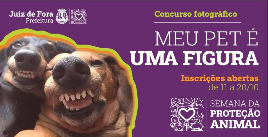 618 animais participam do primeiro concurso fotográfico 