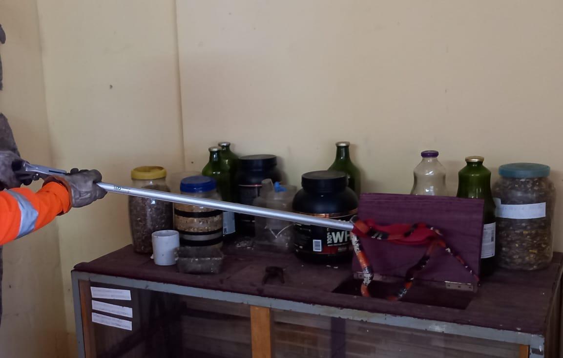 Bombeiro Militar captura uma cobra