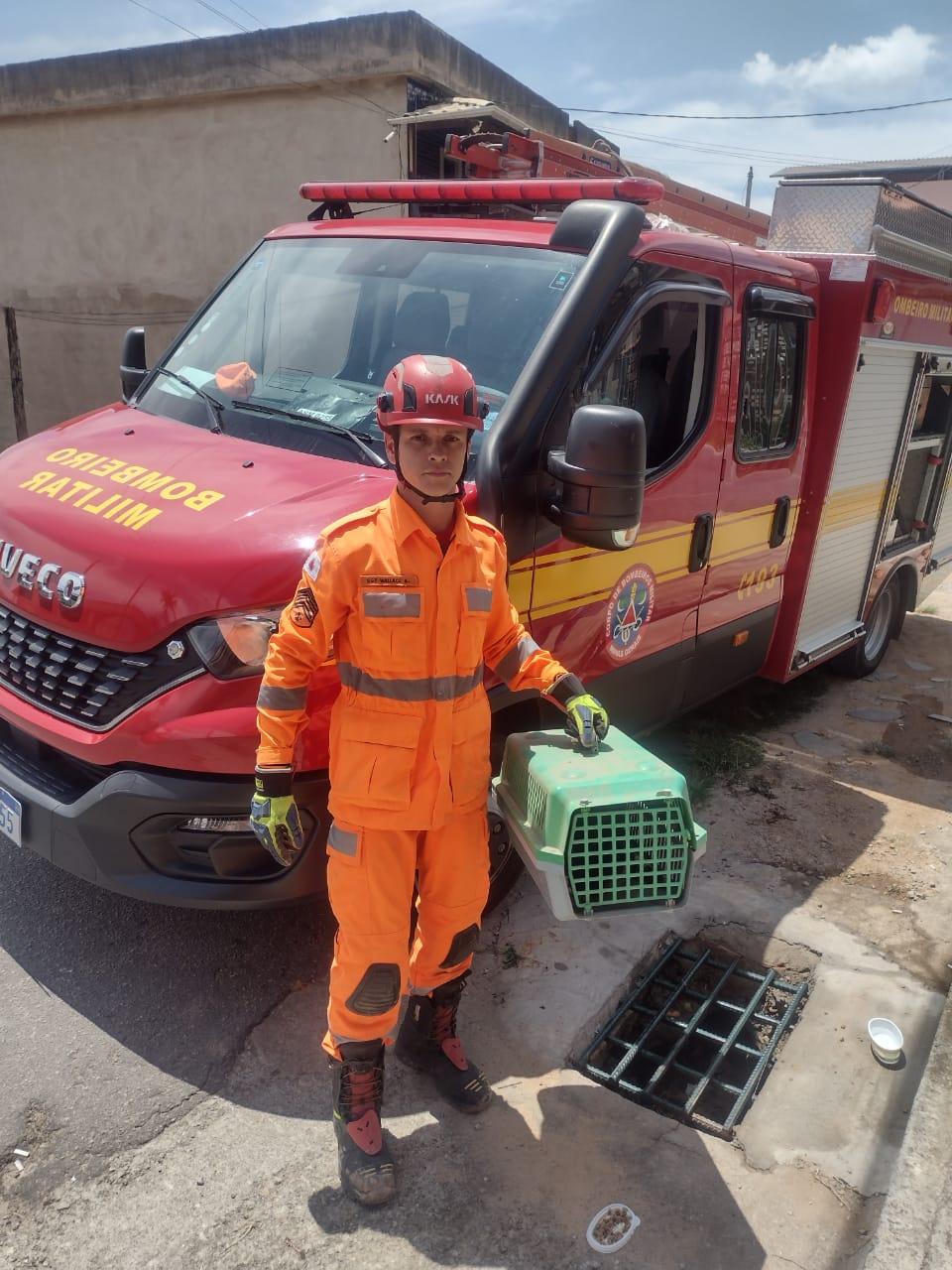 BOMBEIROS DE BARBACENA RESGATAM GATO PRESO DENTRO DE MANILHA DE ESGOTO