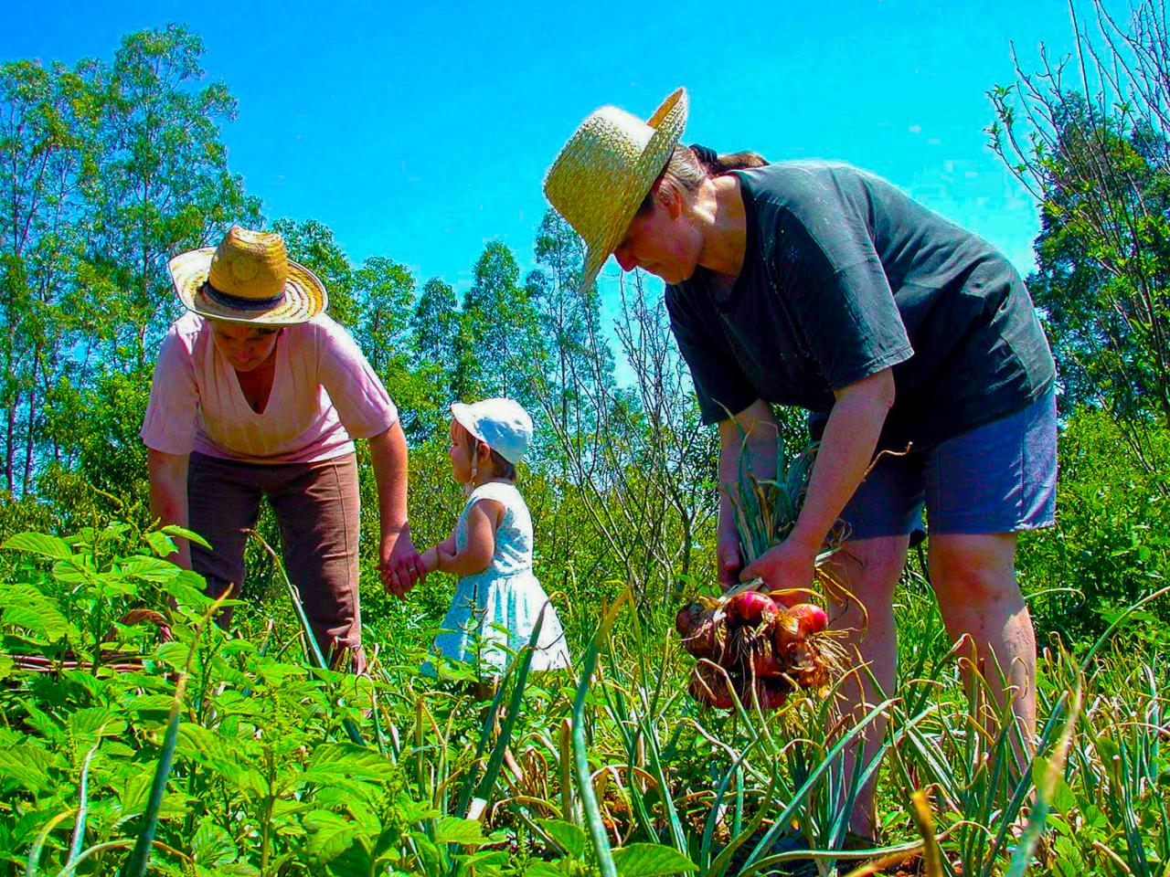 Minas Gerais é o 2º estado brasileiro com mais agricultores familiares