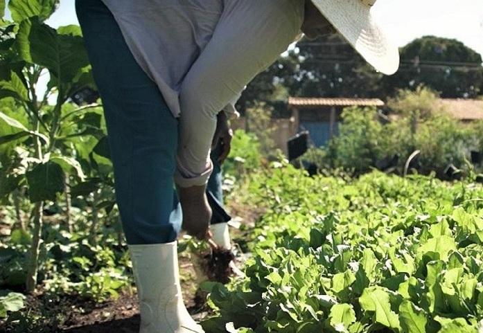 Cadastro Nacional da Agricultura Familiar (CAF) já substitui as DAPs