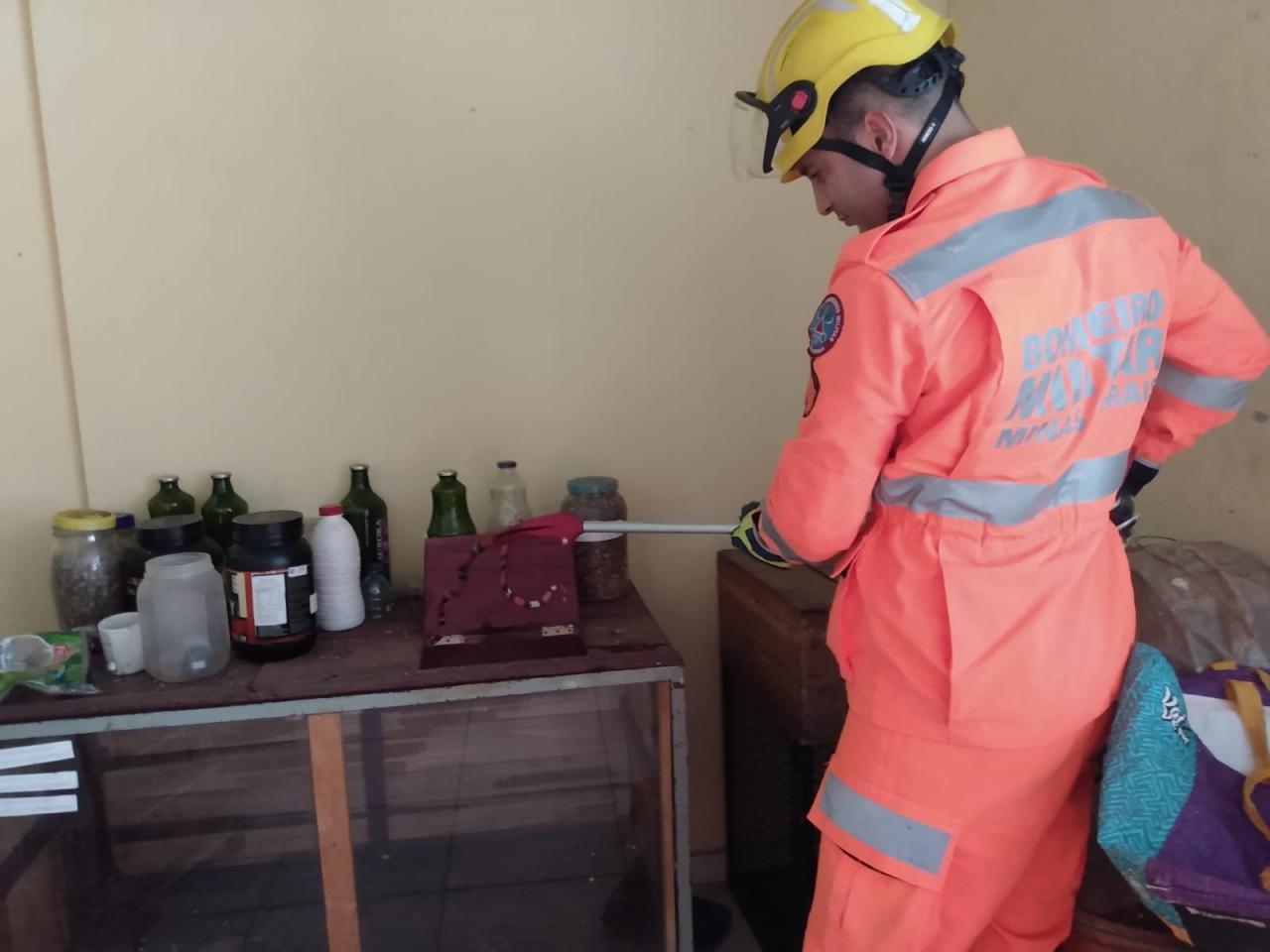 Bombeiros capturam serpente em Barbacena