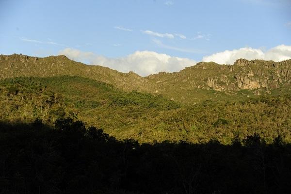 Instituto Estadual de Florestas deve investir R$ 23 milhões para o pagamento do Bolsa Verde em 2023
