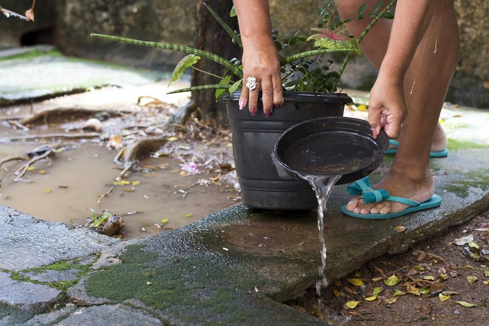 SES reforça cuidados contra a dengue e outras arboviroses