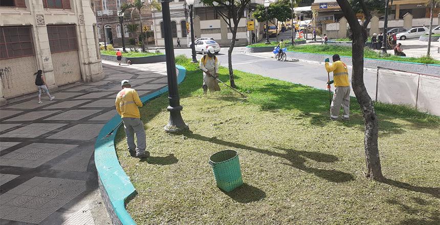 Zeladoria da PJF atende mais de 2.600 locais da cidade com poda de grama e de árvores