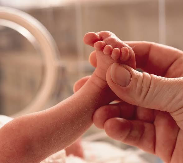 Bebês prematuros necessitam, com urgência, de doação de leite humano
