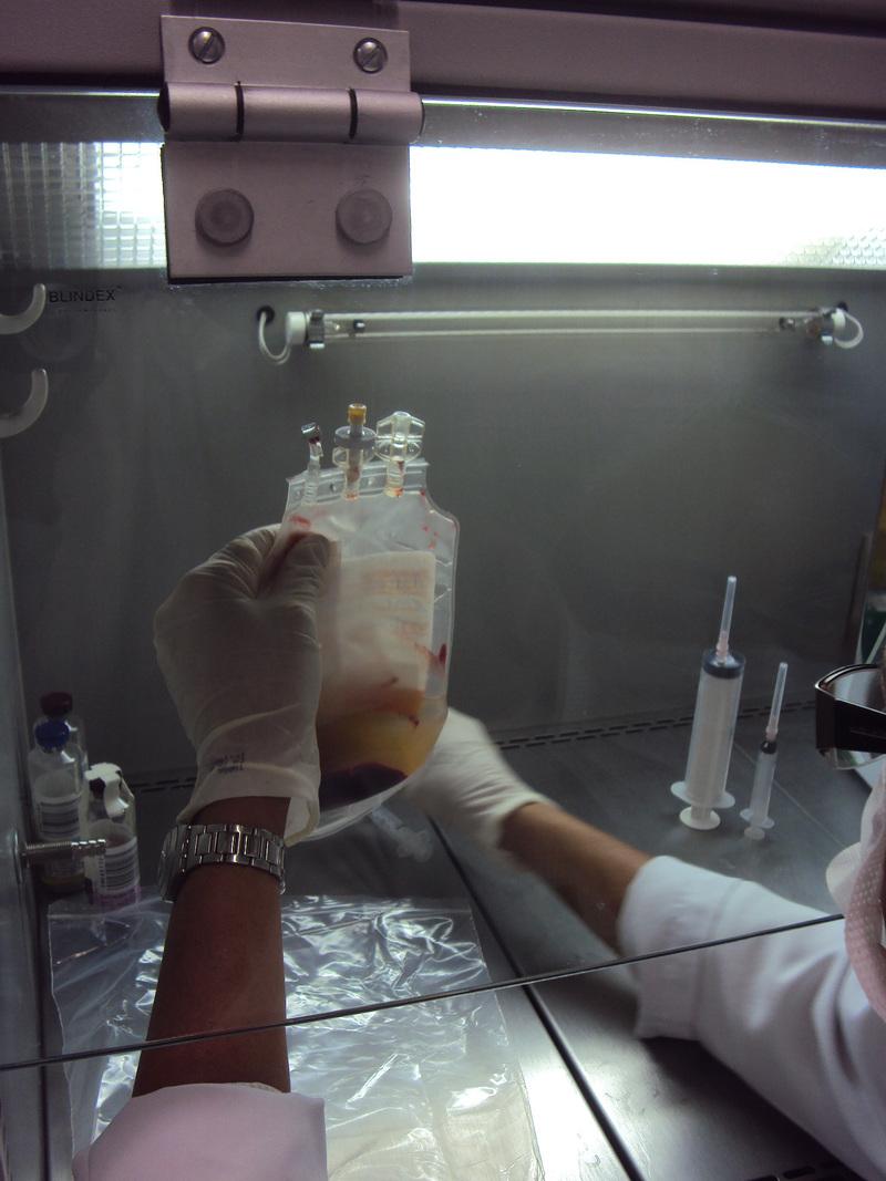 Hemominas completa 38 anos como referência em inovação e produção de conhecimento