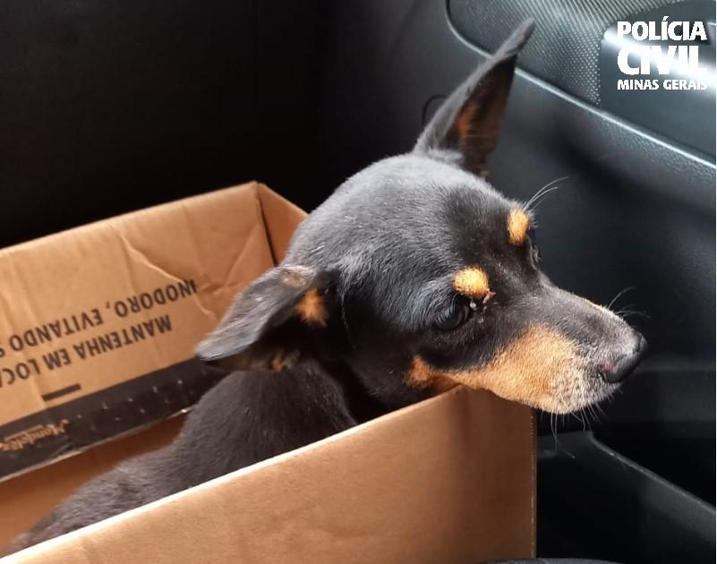 PCMG identifica homem que atropelou cão em Muriaé