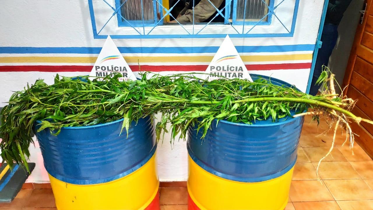 POLÍCIA MILITAR EFETUA DUAS PRISÕES POR TRÁFICO DE DROGAS EM SÃO GERALDO