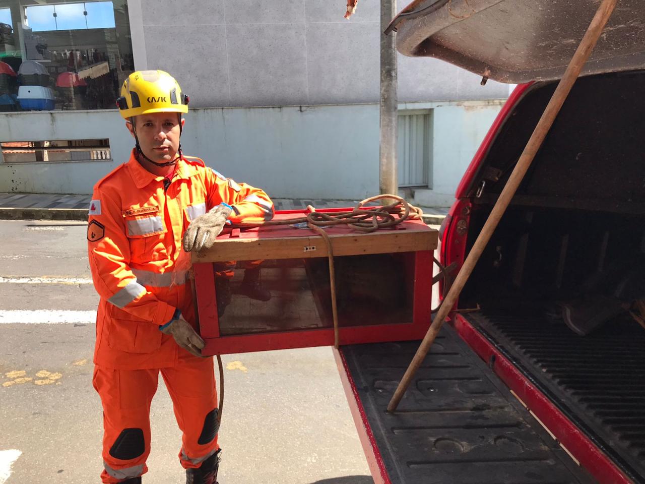Bombeiros resgatam uma paca ferida em Barbacena
