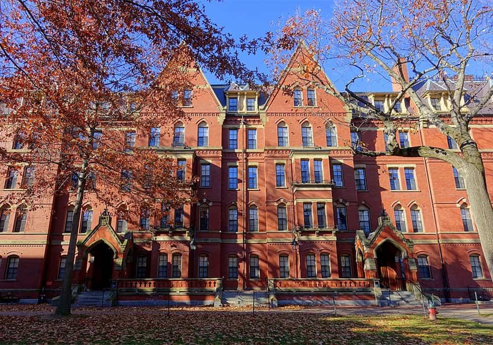 Estado oferece acesso gratuito a curso de Programação da Universidade Harvard