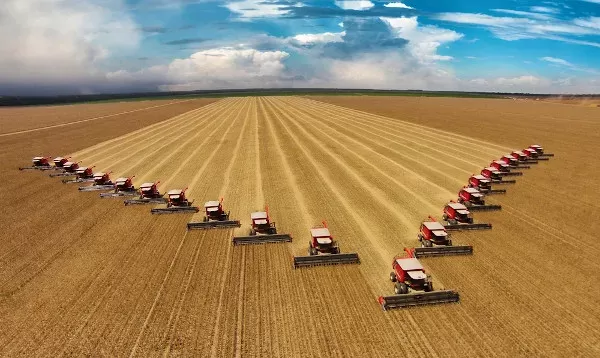 Exportações do agronegócio mineiro estreiam 2023 com novo recorde e somam US$ 961 milhões em janeiro