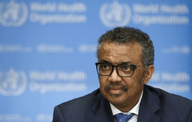 H5N1: “Devemos nos preparar para nova pandemia”, diz OMS