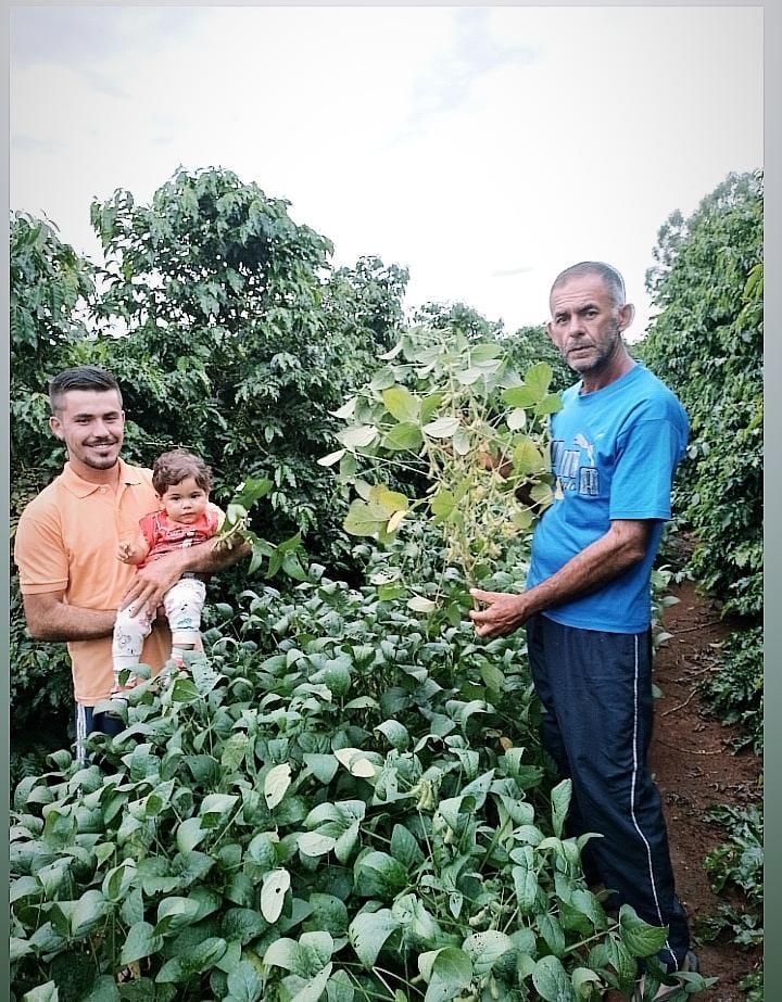 Plantio consorciado de café e soja traz bons resultados no Sul de MG