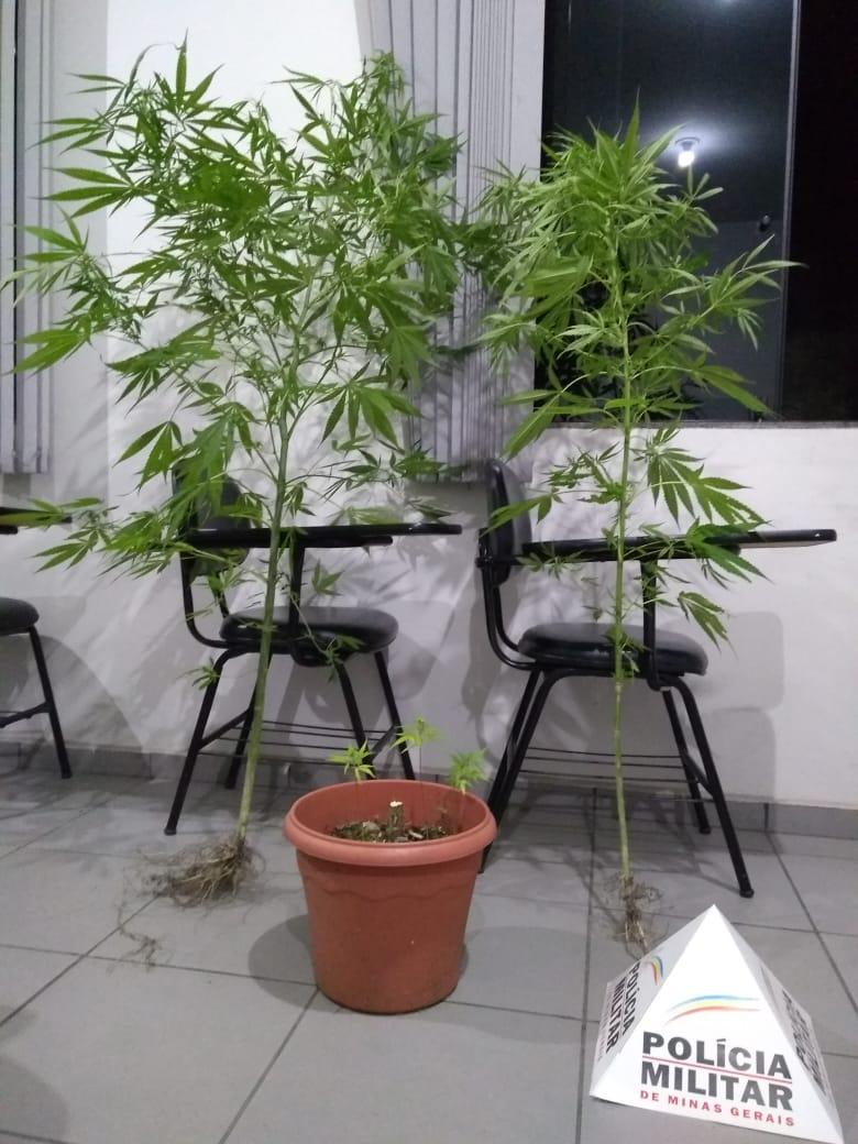 PM apreende drogas  em Barroso