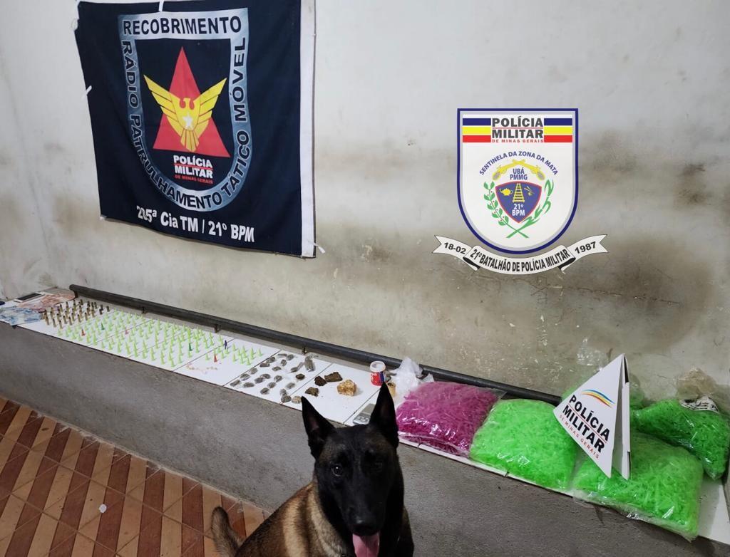 PM apreende grande quantidade de drogas em Ubá