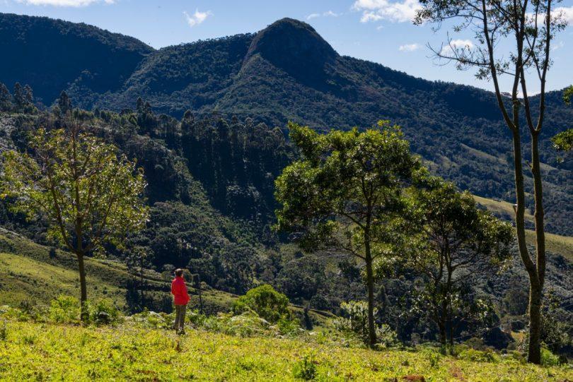 Estado fortalece fiscalização ambiental para apertar cerco às irregularidades