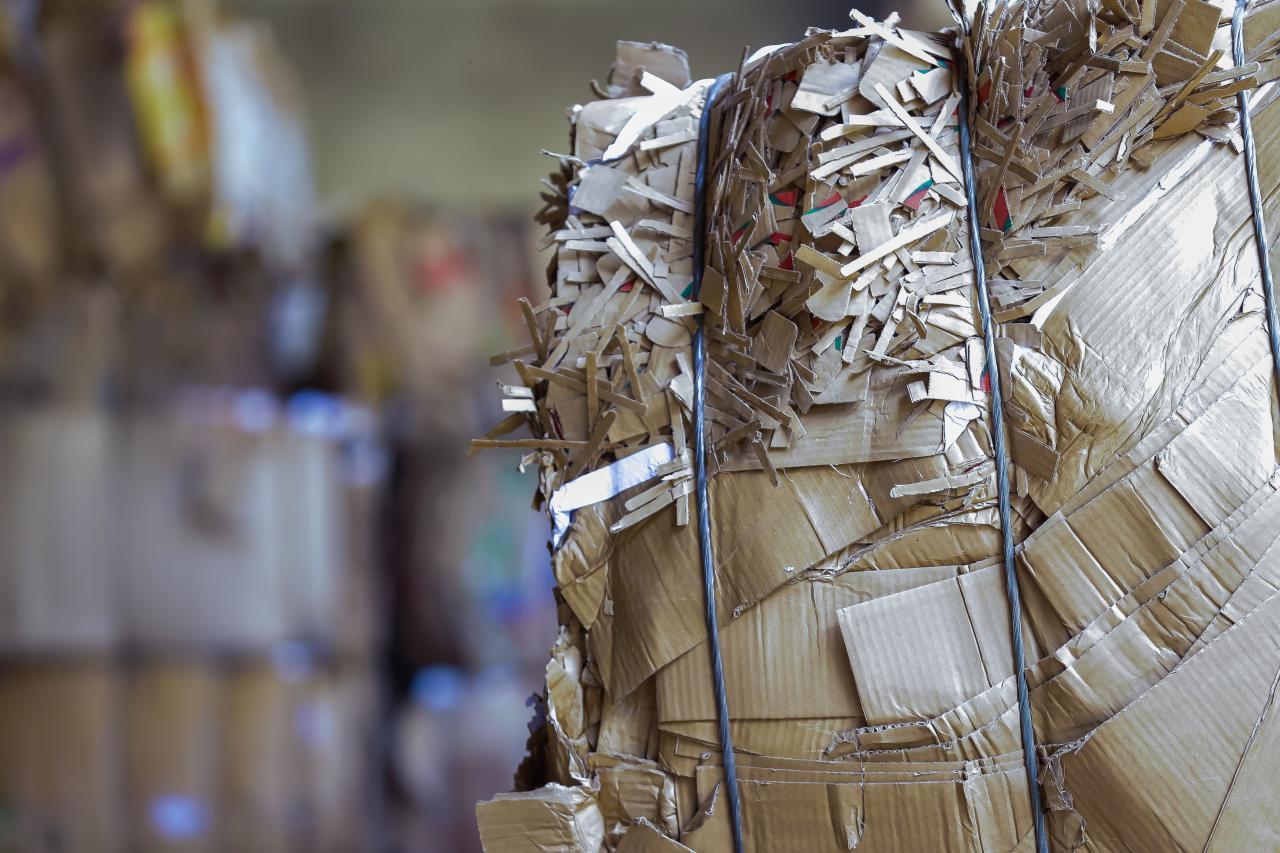 Paraibuna Embalagens promove dia de beleza para catadoras de materiais recicláveis