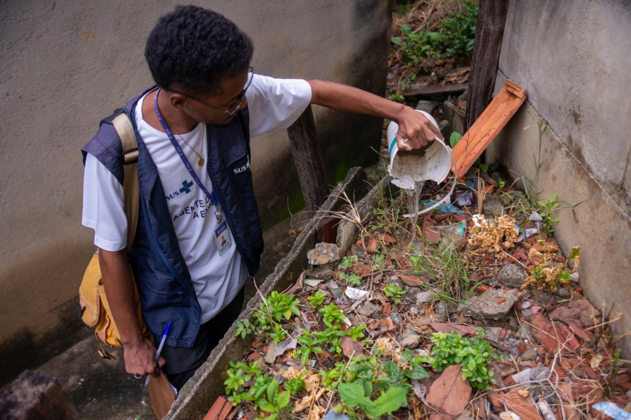 Pesquisa revela nível de infestação do Aedes aegypti em Minas