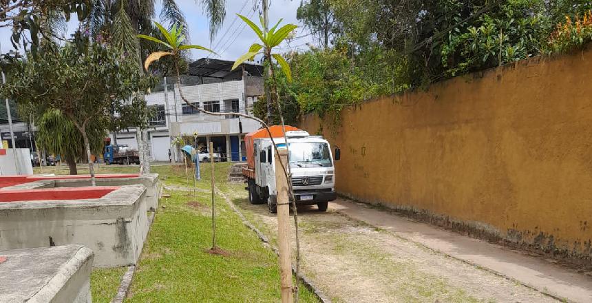 PJF dá sequência ao projeto de plantio de mudas em Juiz de Fora